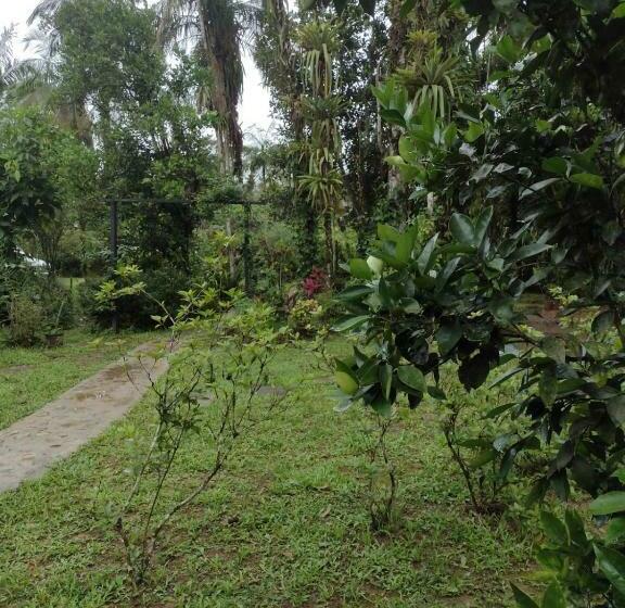 Пансион Armazém Do Porto, Chalé Azaléia