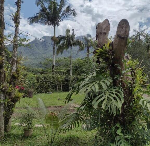 Пансион Armazém Do Porto, Chalé Azaléia