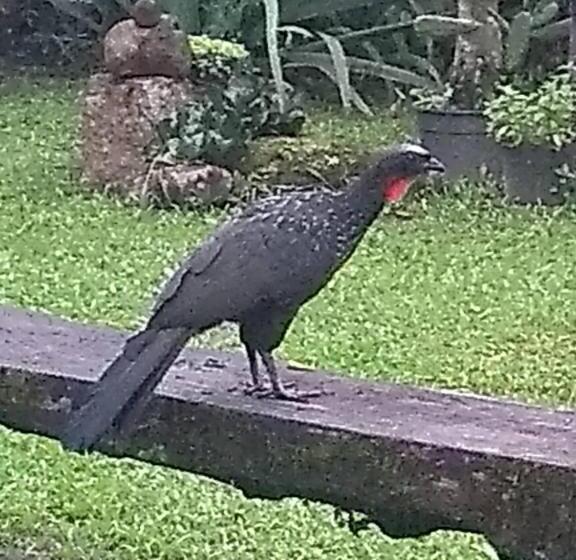 Пансион Armazém Do Porto, Chalé Azaléia