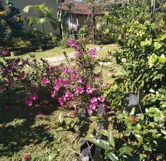 Пансион Armazém Do Porto, Chalé Azaléia