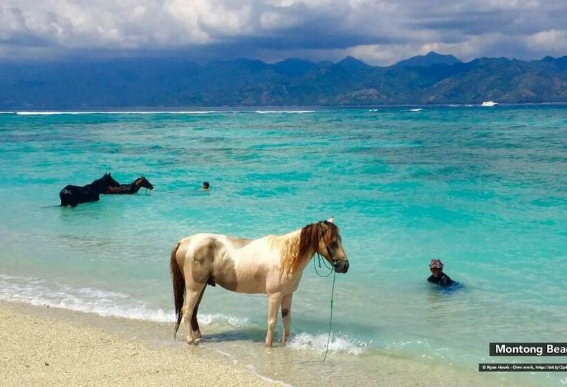 פנסיון Astiti Ayu Kost 1