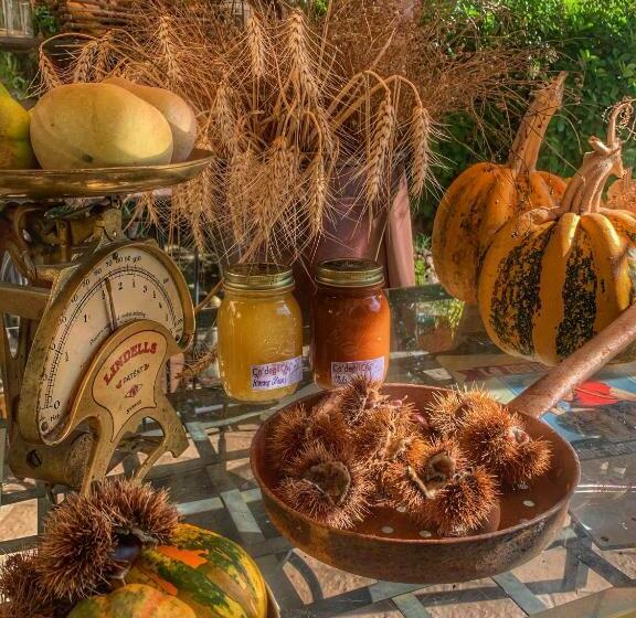 פנסיון Ca  Degli Ovi B&b