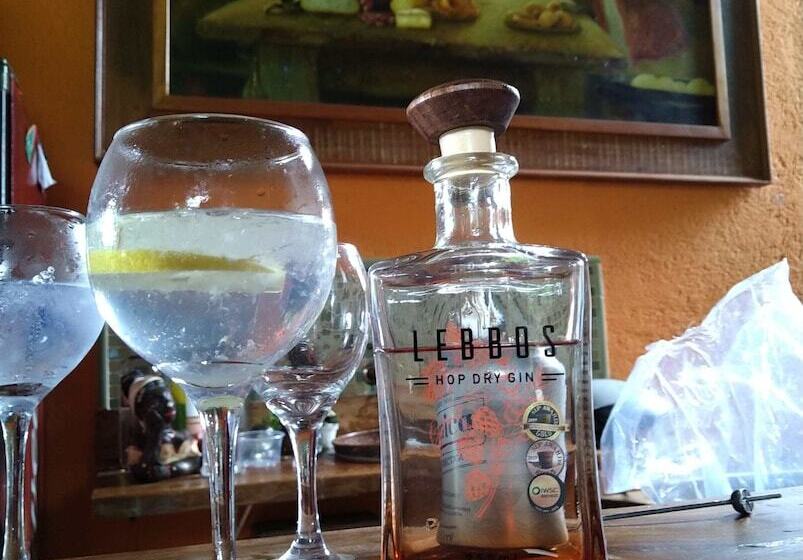 膳宿费 Pousada Passaredo