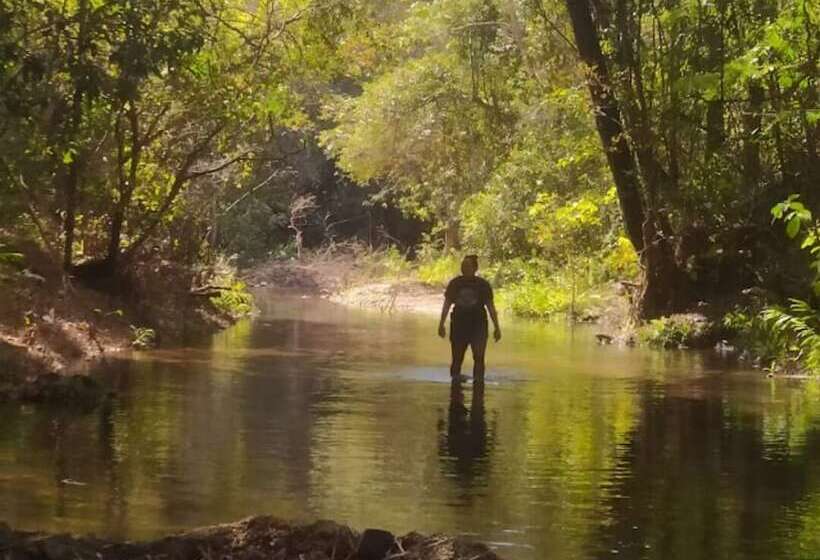 膳宿费 Pousada Passaredo