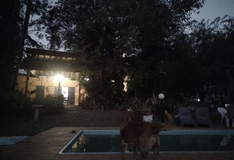 膳宿费 Pousada Passaredo