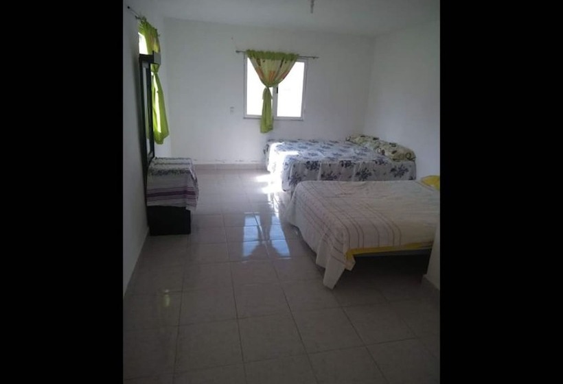 Pansiyon Room In Guest Room   Lodging And Tranquility