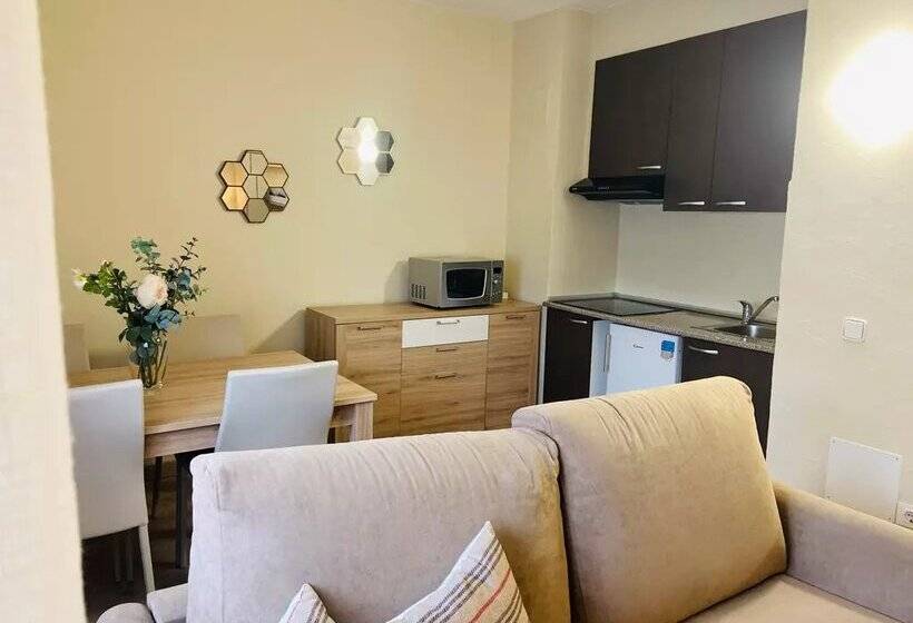 Apartamentos Nevada Mikka 3000