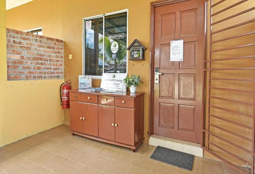 酒店 Collection O 90622 Sehijau @ Cenang