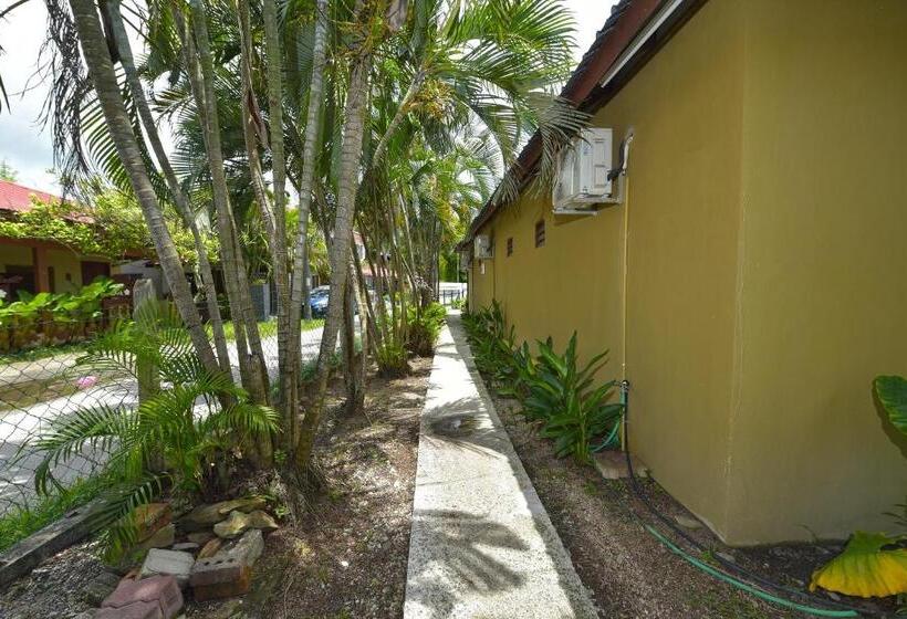 酒店 Collection O 90622 Sehijau @ Cenang