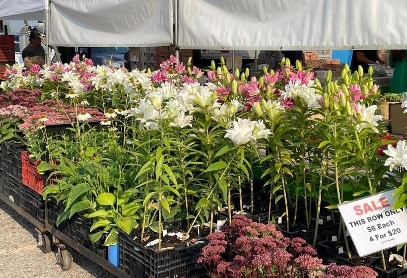 بنسيون Hammer Haus Iii