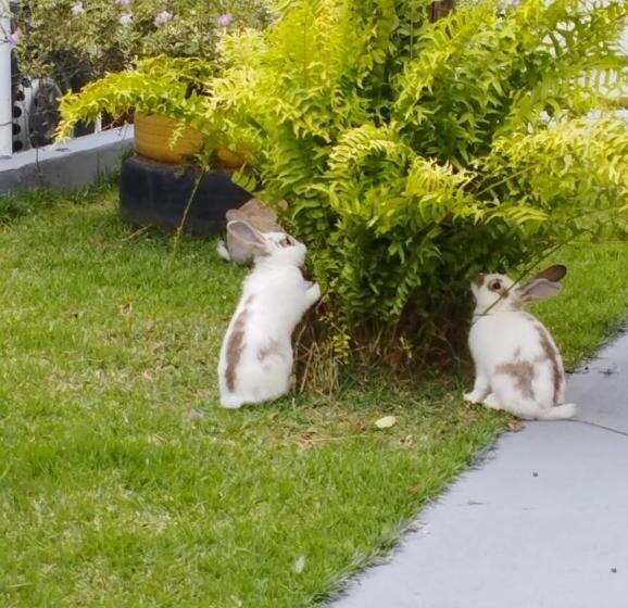 펜션 Pousada Recanto Da Serra Domingos Martins