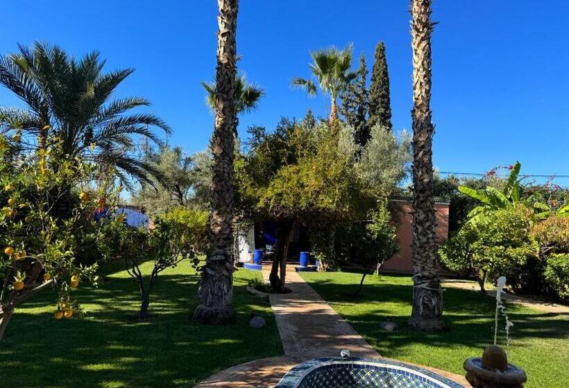 پانسیون Riad Redwan