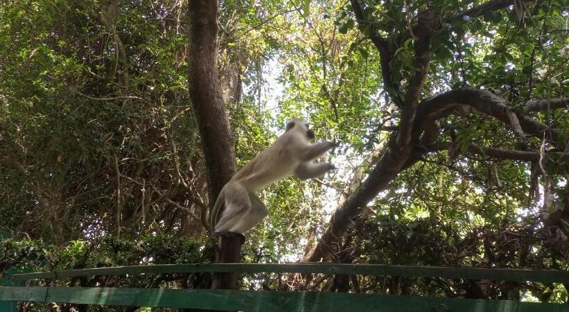 هاستل Karibu Heritage House