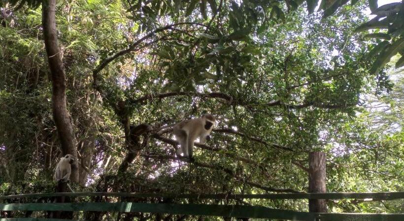 هاستل Karibu Heritage House