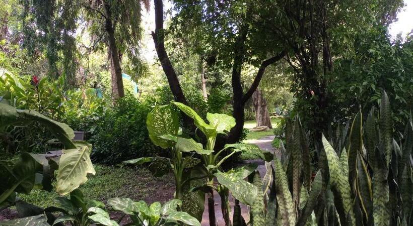 هاستل Karibu Heritage House