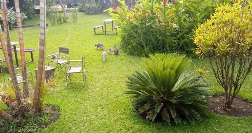 هاستل Karibu Heritage House