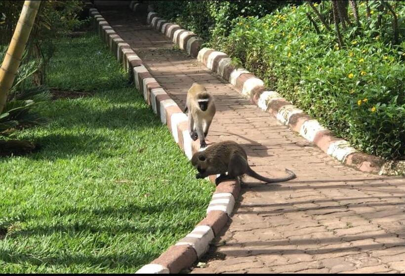 هاستل Karibu Heritage House