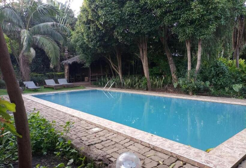 هاستل Karibu Heritage House