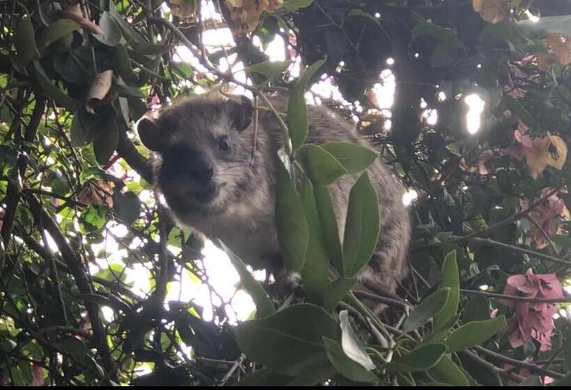 هاستل Karibu Heritage House