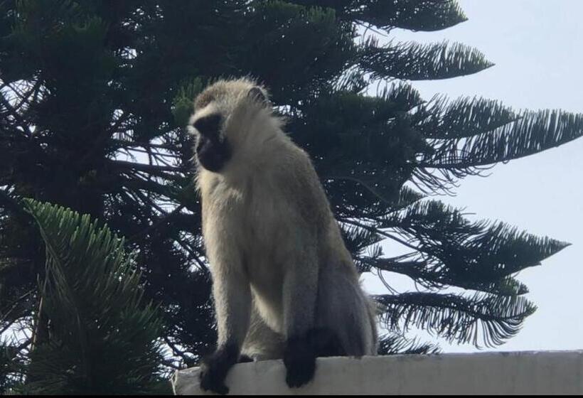 هاستل Karibu Heritage House