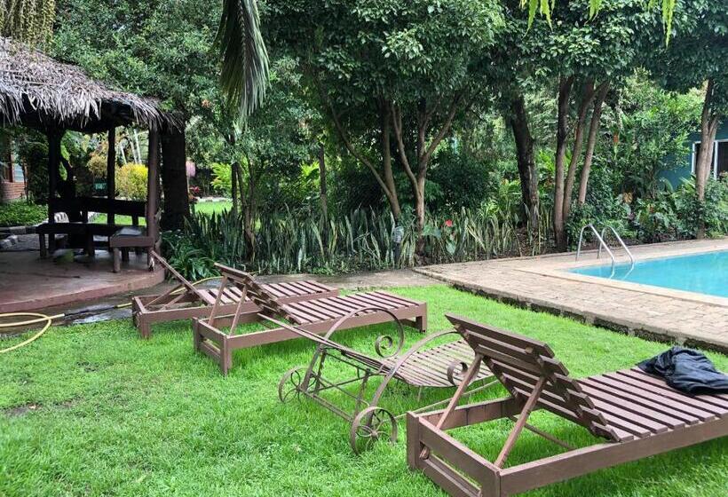 هاستل Karibu Heritage House