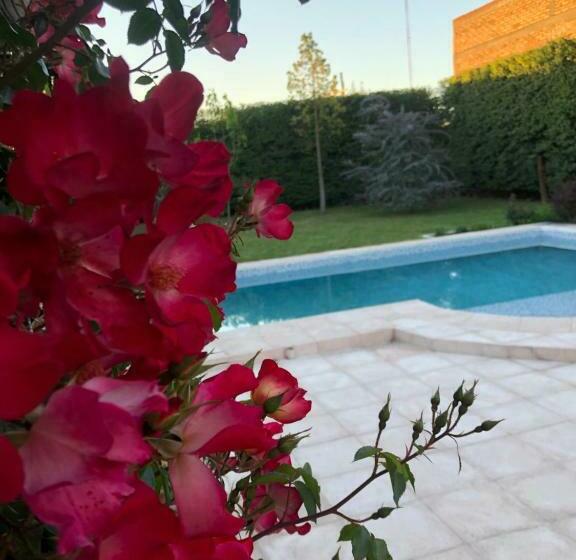 旅馆 Posada “la Margarita”