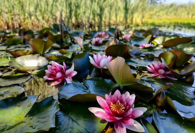 住宿加早餐  Eden Koï