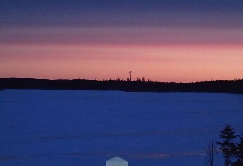 مبيت وإفطار The Cozy Fox