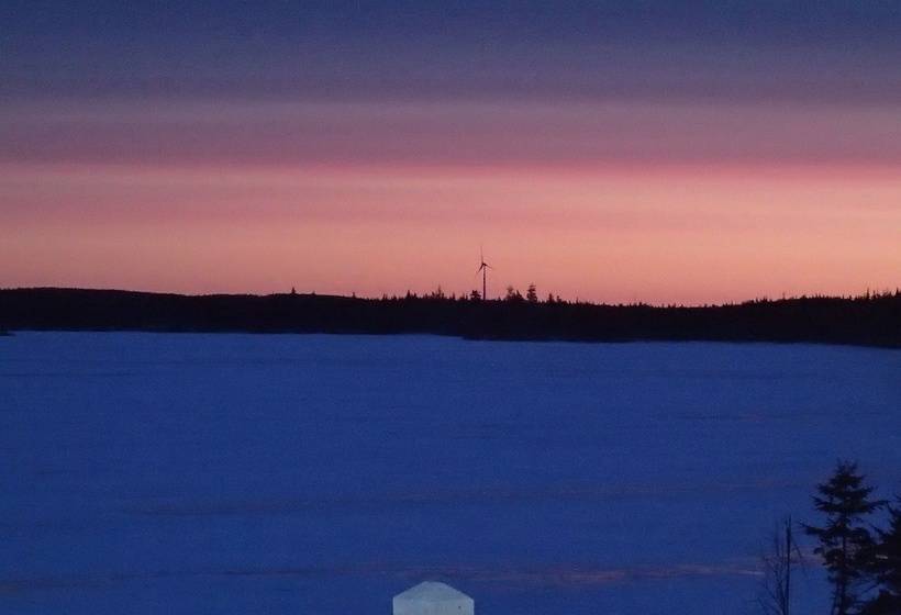 مبيت وإفطار The Cozy Fox