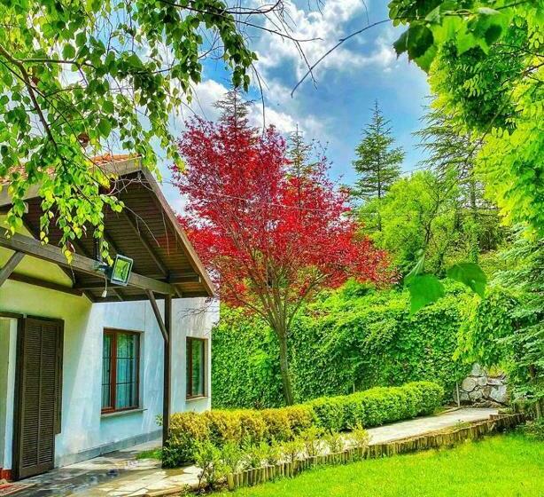 Celik Termal Butik Otel