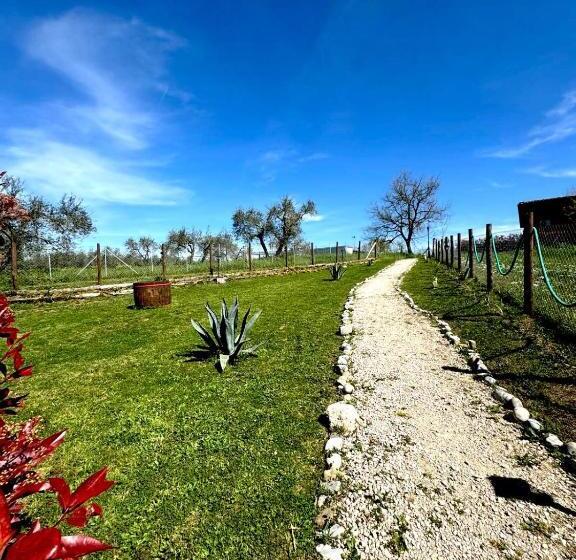 בית מלון כפרי Agriturismo Poggio Degli Ulivi