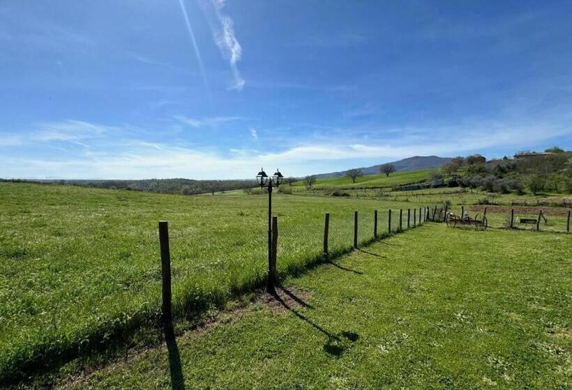 בית מלון כפרי Agriturismo Poggio Degli Ulivi