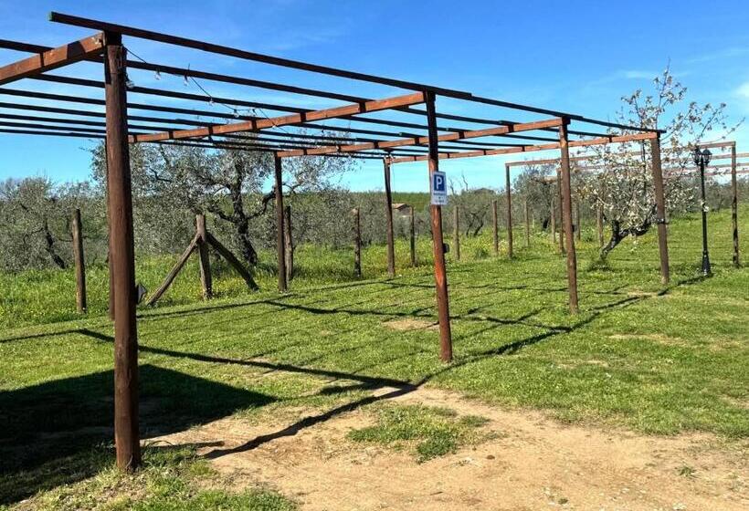 בית מלון כפרי Agriturismo Poggio Degli Ulivi