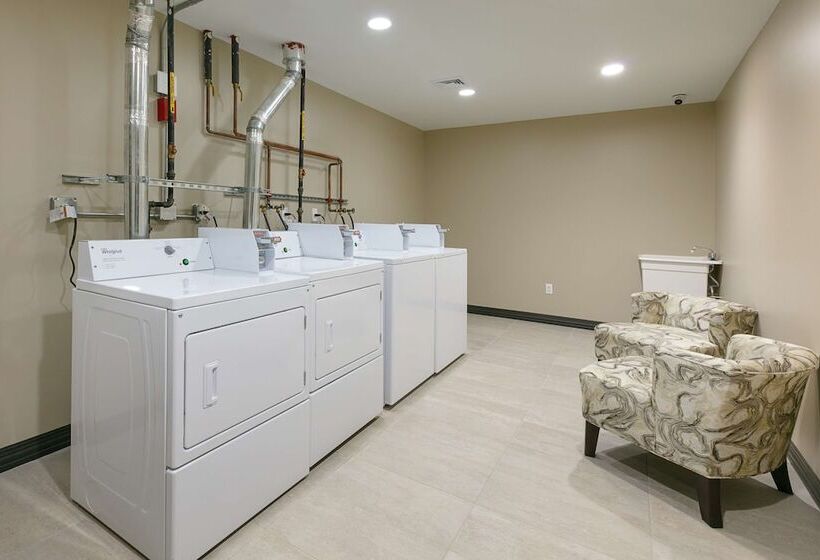 酒店 Best Western Plus Executive Residency Bronx