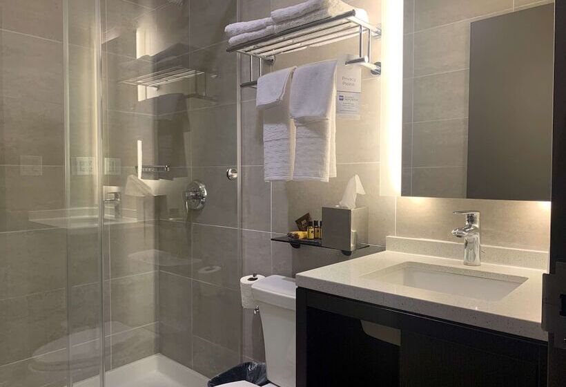 酒店 Best Western Plus Executive Residency Bronx