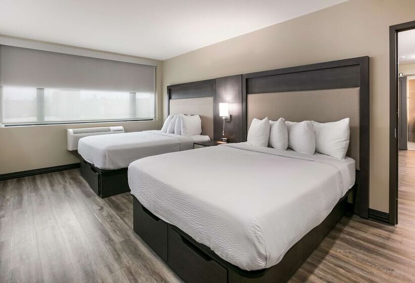 酒店 Best Western Plus Executive Residency Bronx