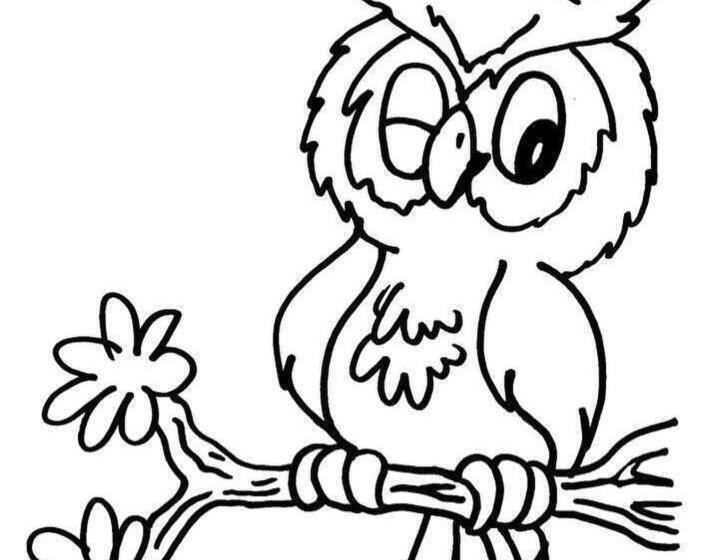 فندق Ca’ Di Matt