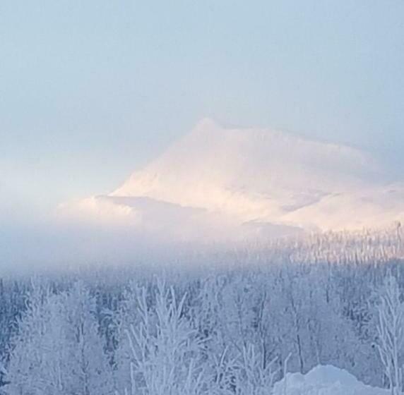 Kultsjögården Saxnäs Marsfjällen 9