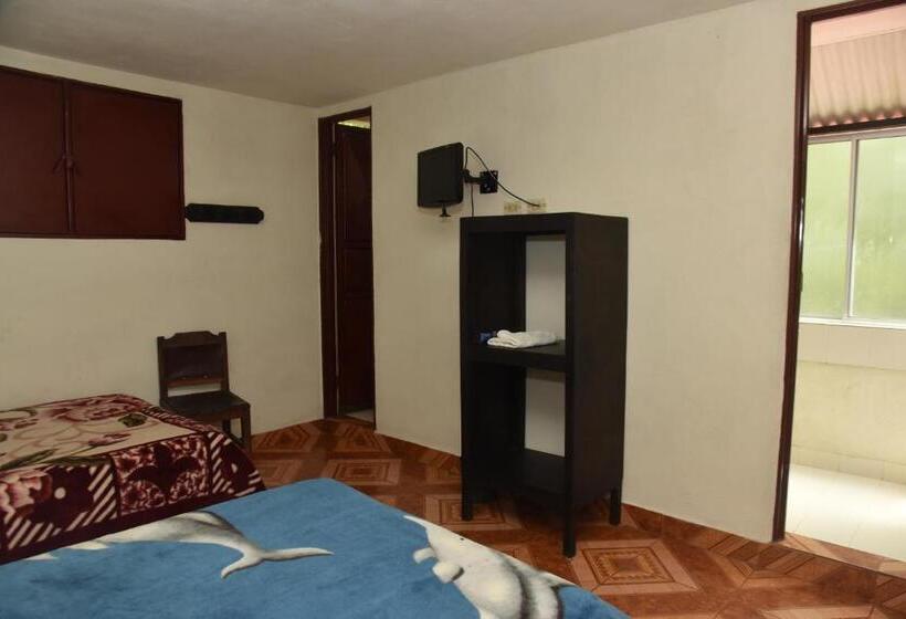 بنسيون El Retorno