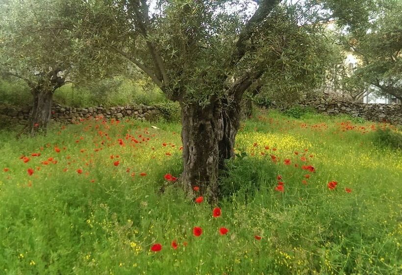 Apartamento Tia Antonia