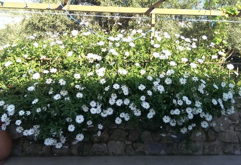 Apartamento Tia Antonia