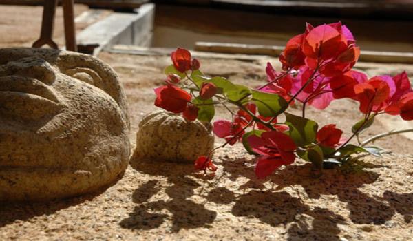 Apartamentos Rurales Los Vergeles