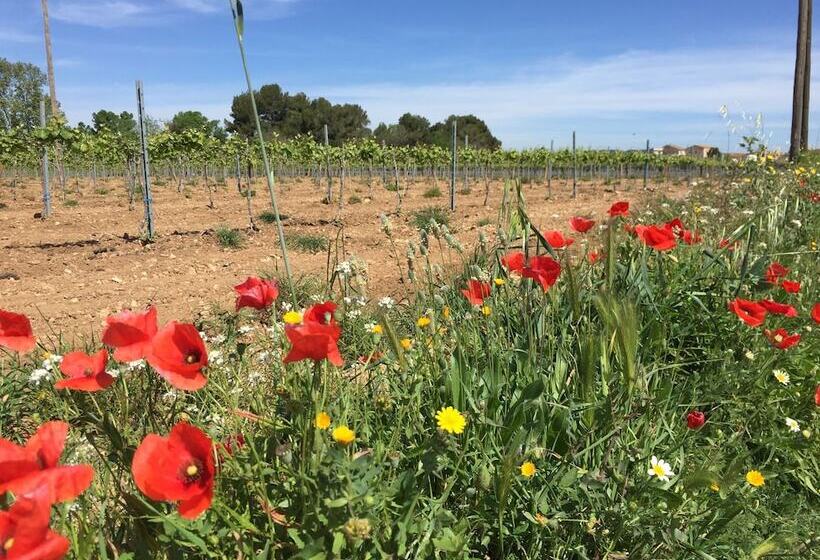 Arianella Holiday Home Penedes