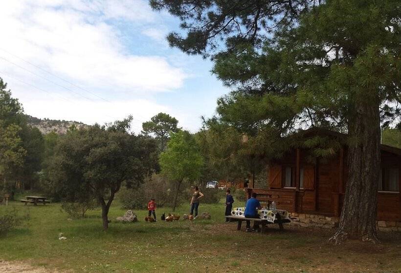 El Llano De Los Conejos Serranía De Cuenca