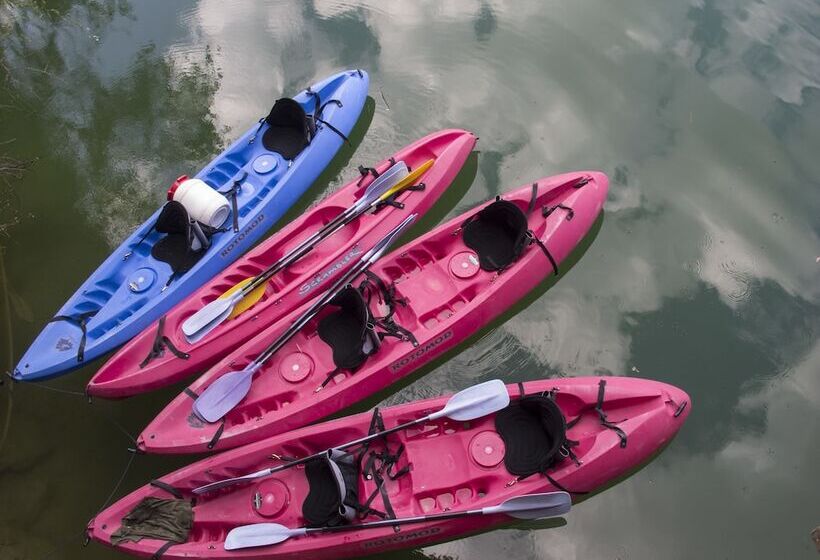 El Llano De Los Conejos Serranía De Cuenca