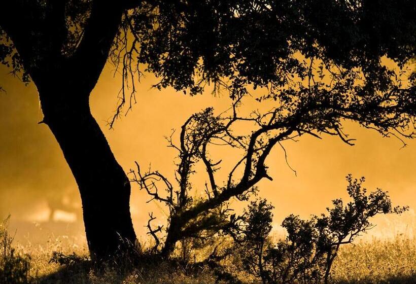 Casa Babel Monfragüe