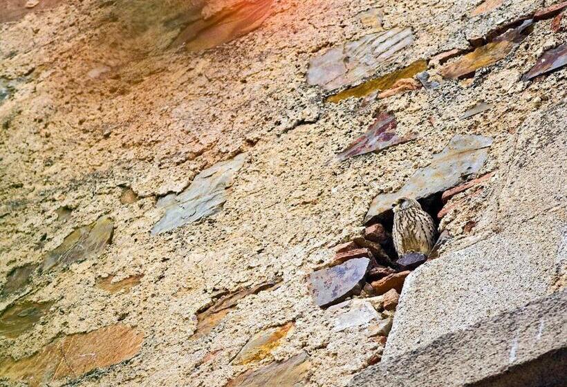 Casa Babel Monfragüe