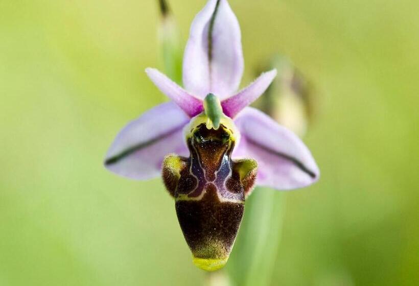 Casa Babel Monfragüe