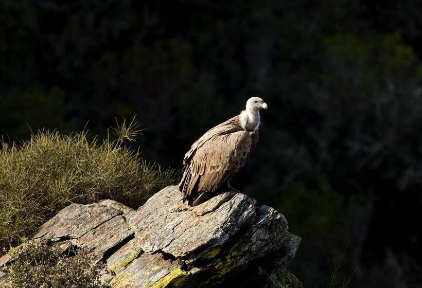 Casa Babel Monfragüe