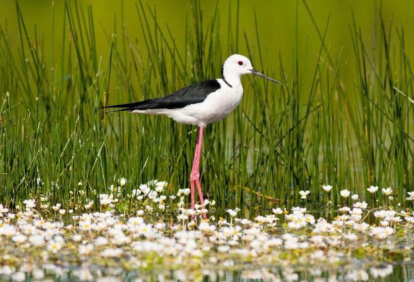 Casa Babel Monfragüe